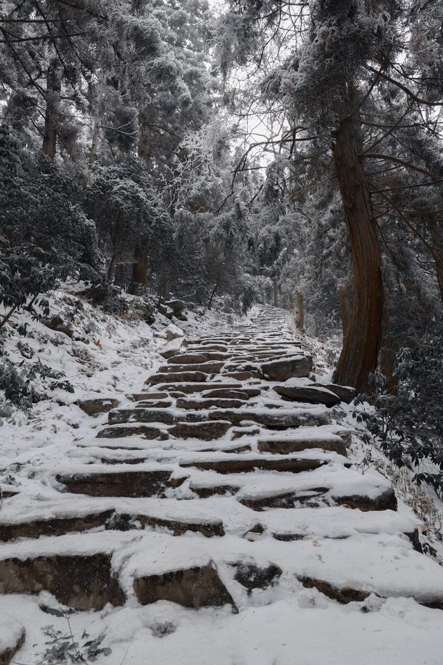 古人說“不識廬山真面目”，體會到了，廬山的雪景！絕美！