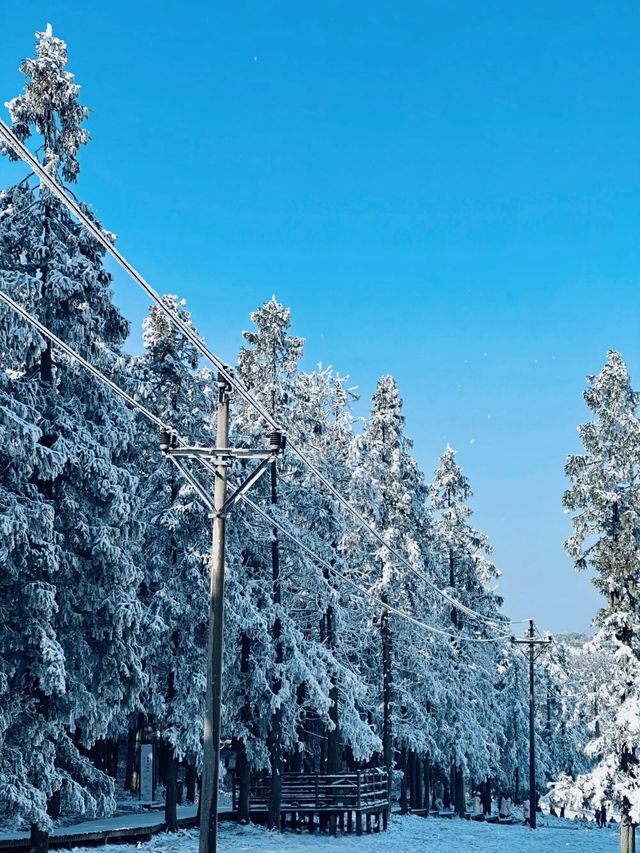 南方人也有自己的冰雪王國了