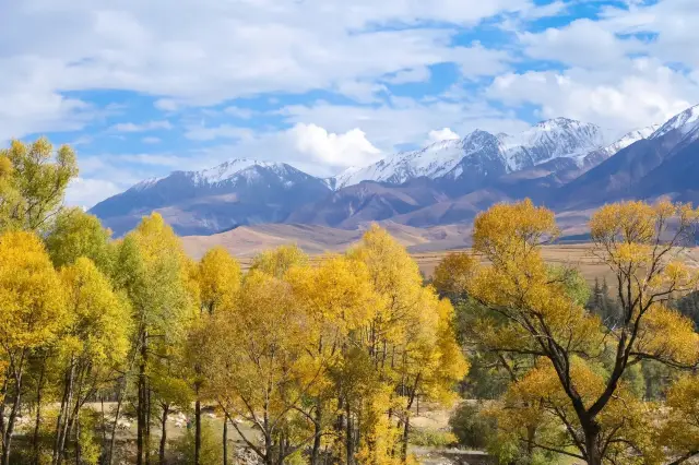 I'm sorry, Qilian Mountains, I underestimated your beauty