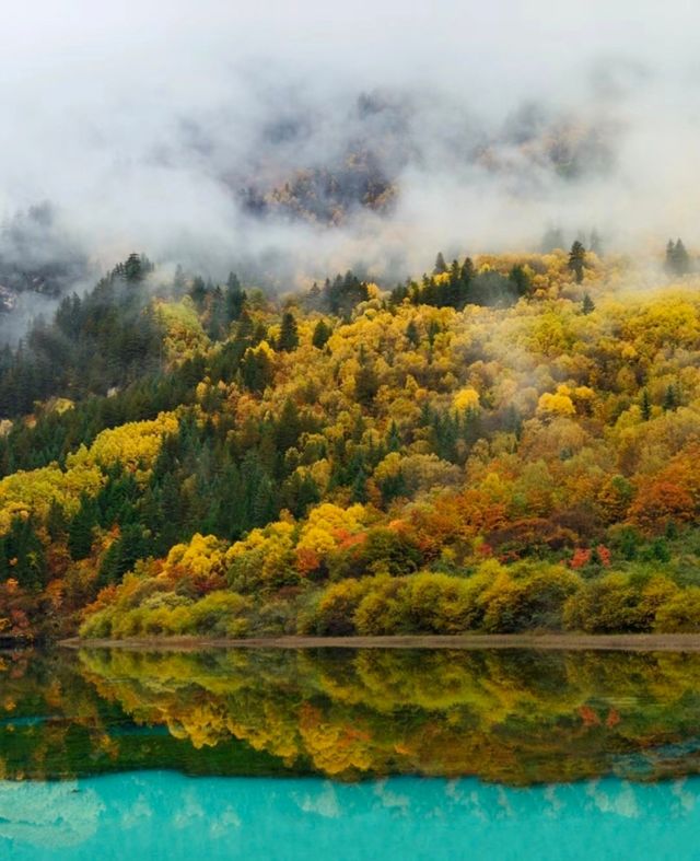 被《國家地理》評為中國最美的八大秋色有多絕