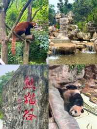 國慶選成都｜三天兩夜人均1000保姆級攻略