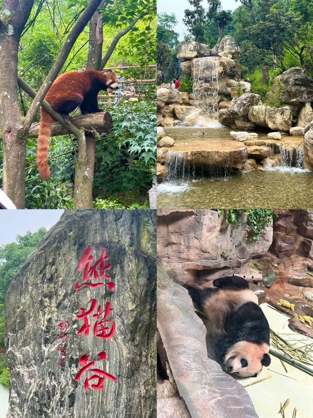 國慶選成都｜三天兩夜人均1000保姆級攻略