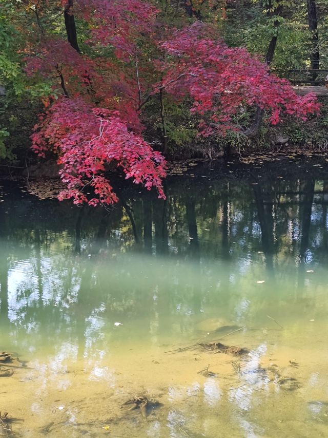 國慶黃金週，賞秋一日遊