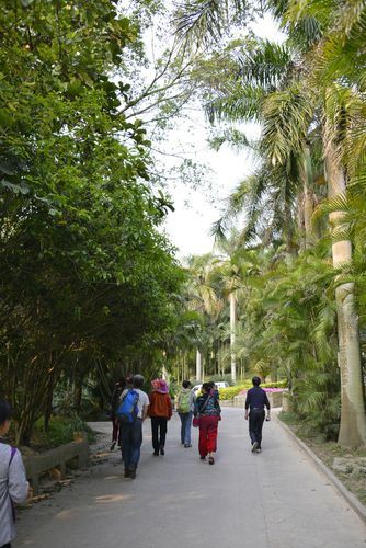 廈門園林植物園｜十月國慶小眾旅遊絕佳好去處