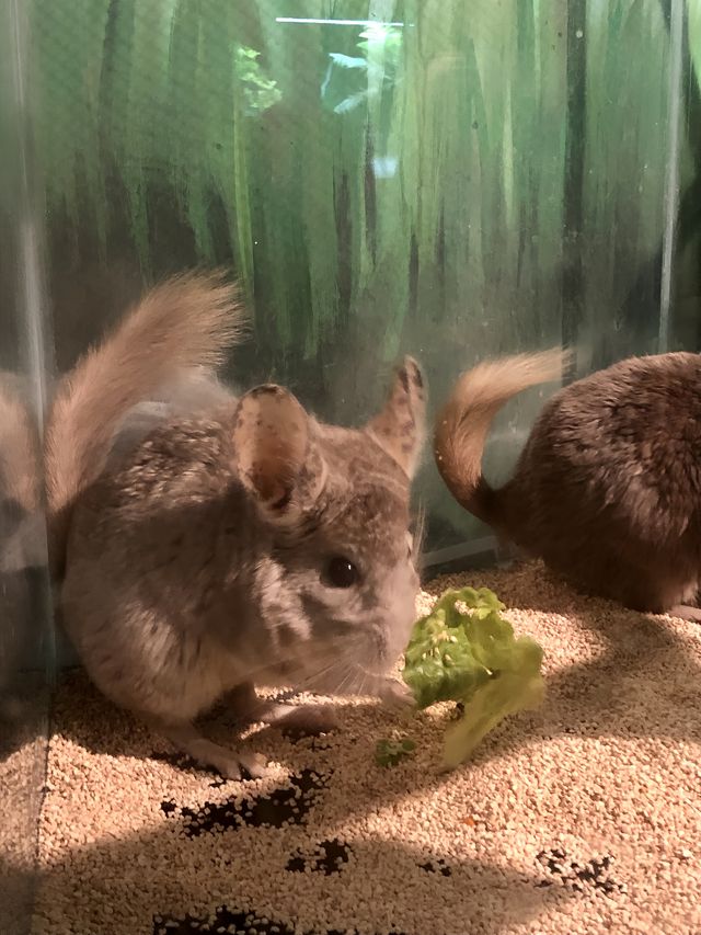 週末遛孩子去哪兒？南京海昌海洋世界探索館