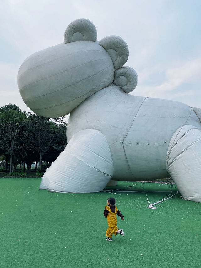 江蘇喵星球!!全是貓貓的小島真的太治癒了