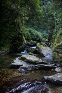 昆明周邊｜玉溪雲海日出哀牢山徒步𝟮天攻略