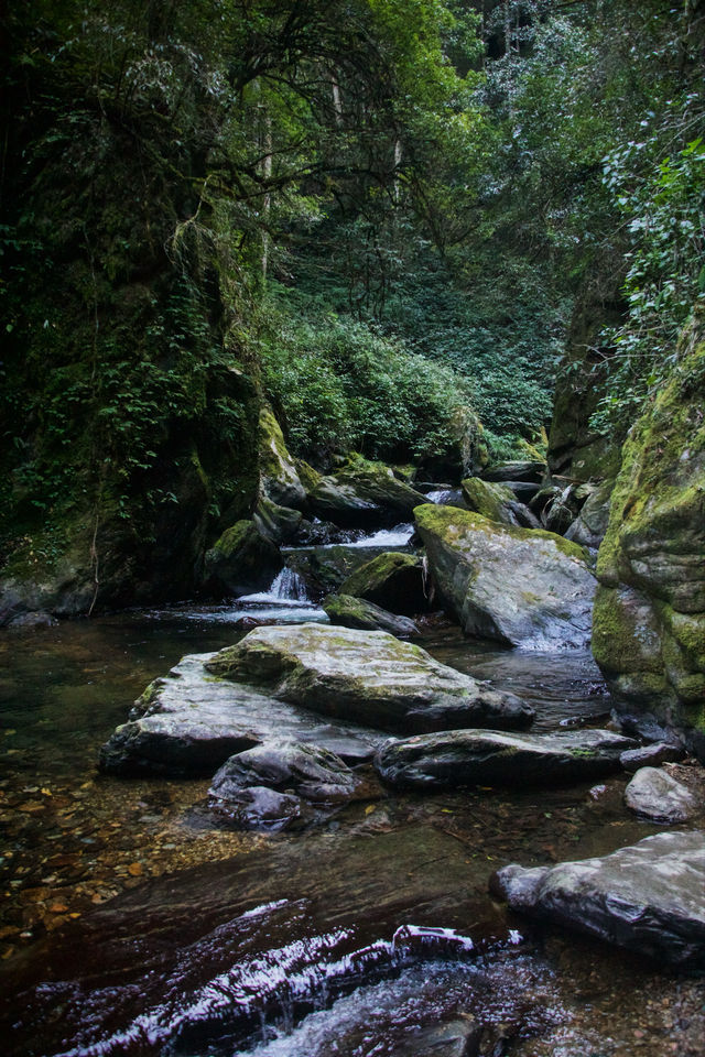 昆明周邊｜玉溪雲海日出哀牢山徒步𝟮天攻略