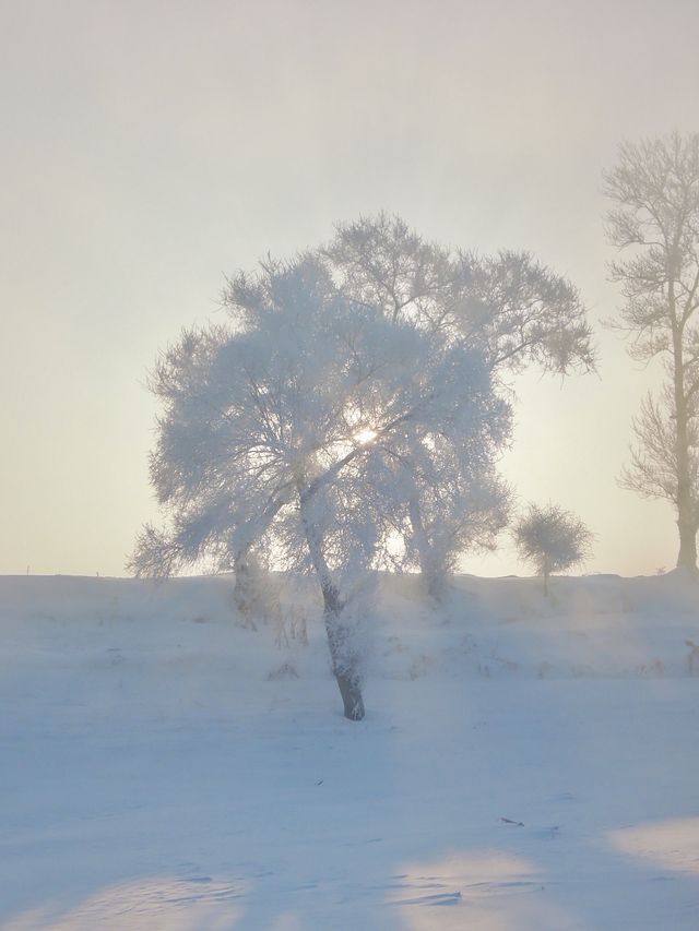 為這瞬間的冰雪奇觀 早起挨凍也值得