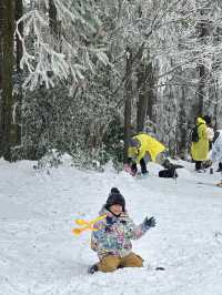 無需遠赴南方小土豆勇闖南國雪鄉攻略