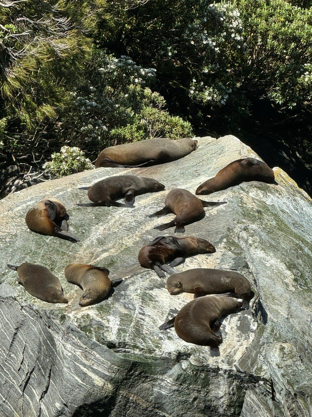 新西蘭南島10日深度遊，帶你悠享純淨國度的絕美風光與地道體驗