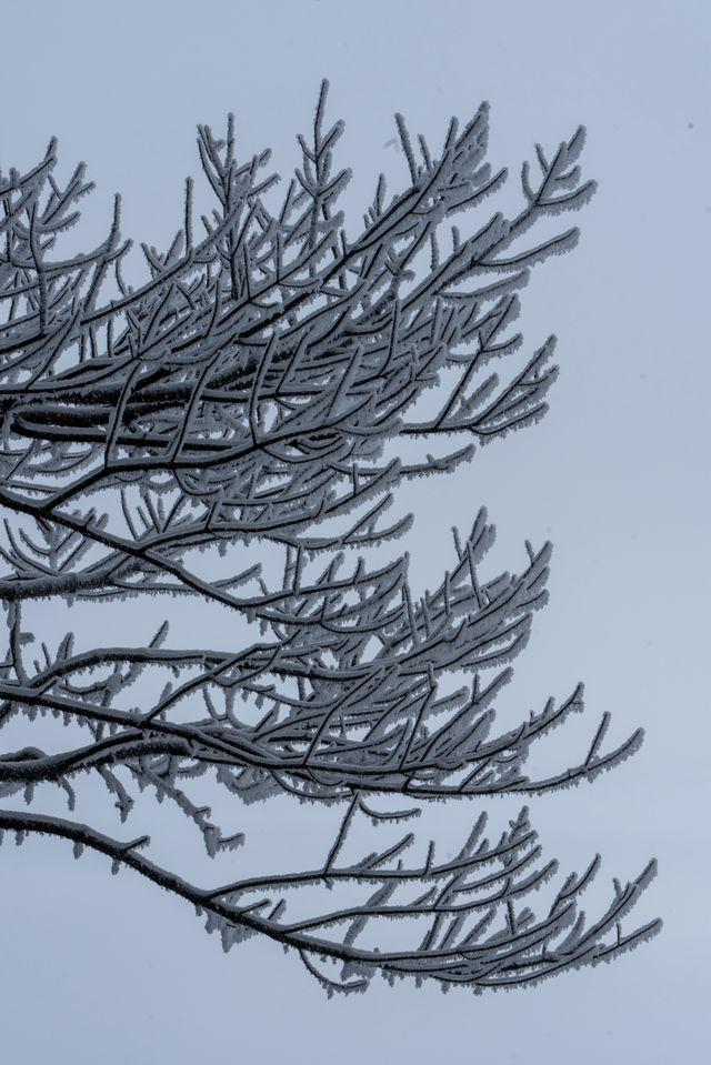 南方小土豆，被武功山雪景美翻