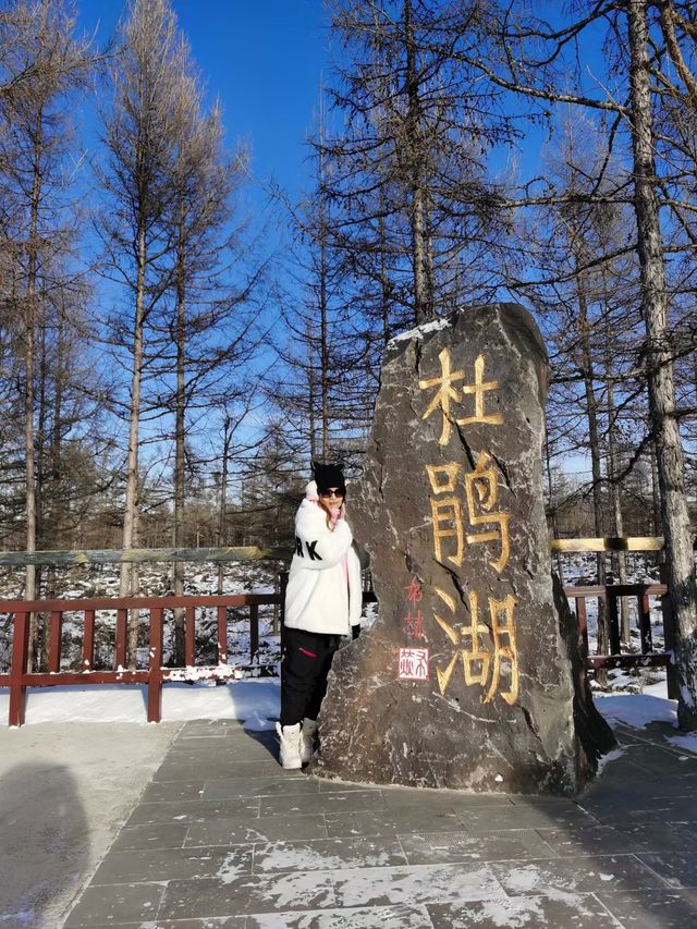 內蒙｜阿爾山國家森林公園，非去不可的阿爾山