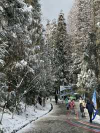 冬日的快樂怎麼能少得了看雪