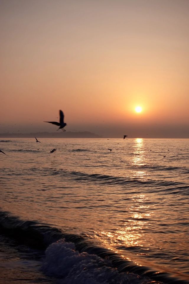 秦皇島北戴河海邊日出日落