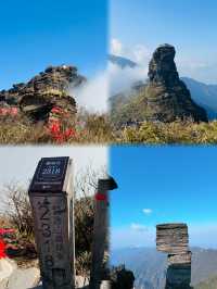 自由行貴州第一名山—梵淨山