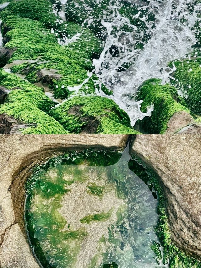 台灣限定秘境之一老梅綠石槽