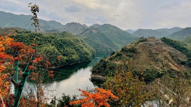 寧波一不小心驚艷了天地～