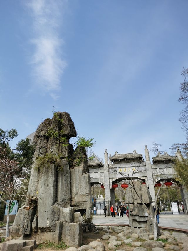 武漢青山公園免費看櫻花、海棠花、桃花