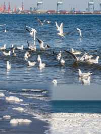 秦皇島冬日「凍海」旅遊攻略