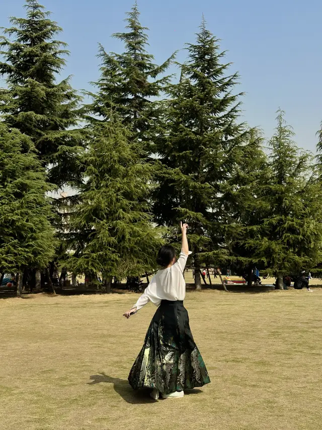 I'm at Yannan Park, and I'm so envious of the life of the people around the Wild Goose Pagoda