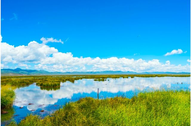 四川花湖生態旅遊區：探尋自然之美湖光山色，自然生態之美