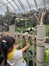 香港海洋公園免排隊攻略