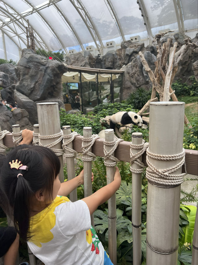 香港海洋公園免排隊攻略