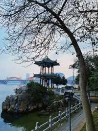 柳州這座城是從這個公園拍出感覺來了