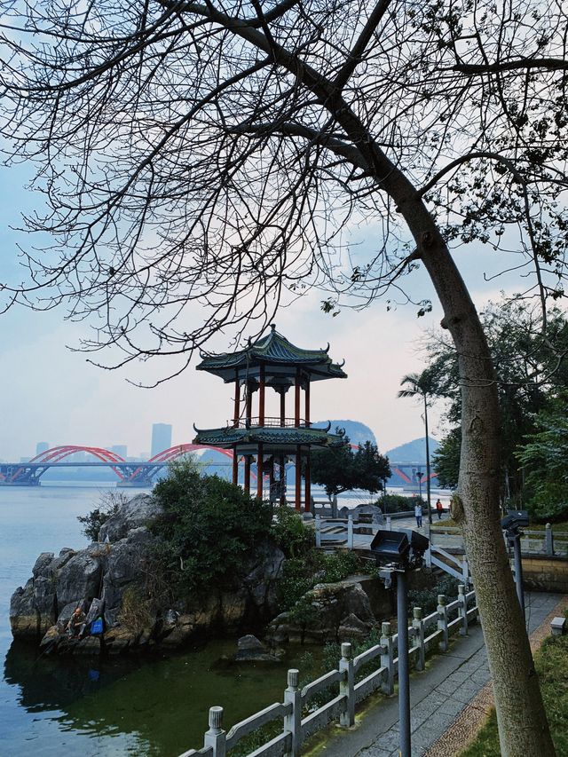 柳州這座城是從這個公園拍出感覺來了