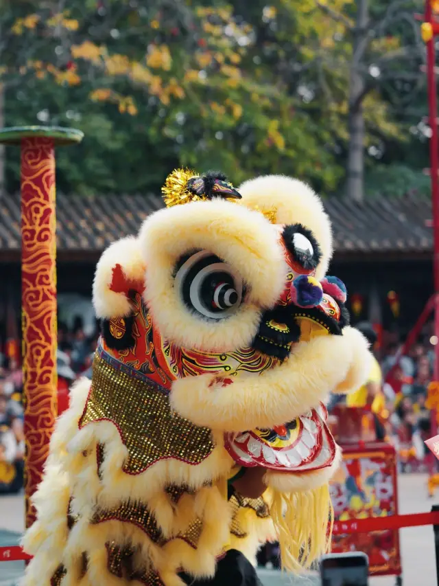 Everyone knows about the lion dance performance: the unique charm of the Foshan Ancestral Temple