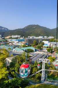 香港親子遊|海洋公園千萬記得這樣規劃