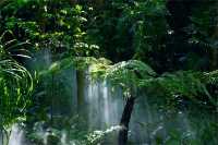 廈門必玩景點—園林植物園（遊玩攻略）