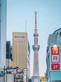 東京晴空塔：世界最高自立式電波塔，美食住宿交通一網打盡