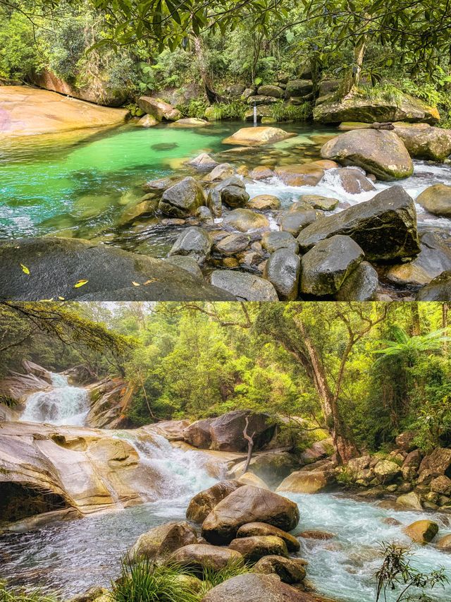 南昆士蘭最美瀑布森林：臥如龍國家公園！