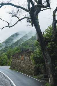 現實版富春山居圖：山野中隱逸，藝術中沉浸