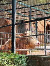 澳門公園｜誰想到免費公園裡還有博物館和動物園