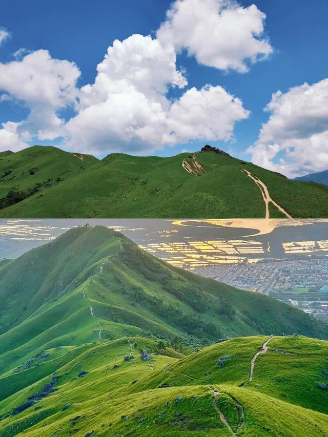 穿越山野：徒步探索雞公嶺，親近自然與城市的完美結合