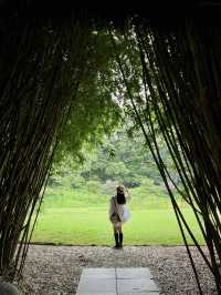 This petite forest park in Chengdu! It's 1000 times more entertaining than Chunxi Road!