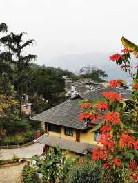 景邁山｜勐本傣寨