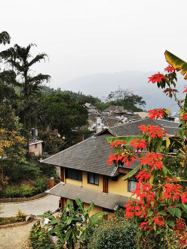 景邁山｜勐本傣寨