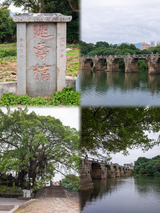 <相鄰明珠：從泉州至莆田，閩南靜謐之旅  >