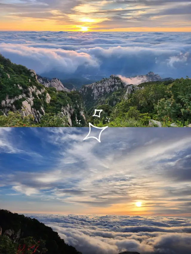 泰山會制服每一個嘴硬的人