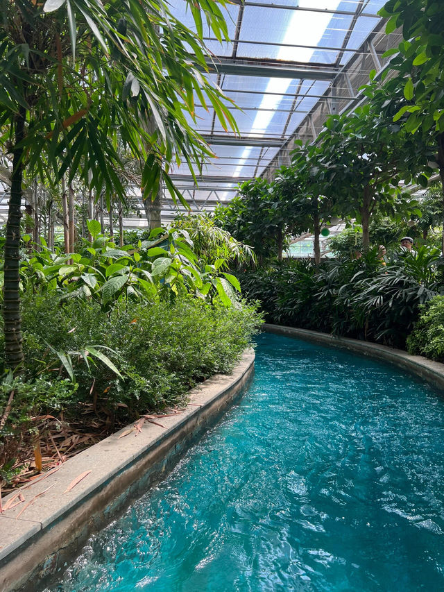 北京豐台南宮五洲植物園｜被騙了這哪裡是植物園
