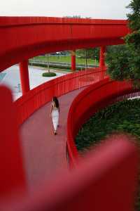 灣區探索 • 兩城citywalk