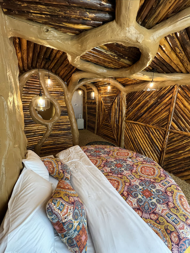 版納的奇幻樹屋，仿佛住進了愛麗絲的兔子洞