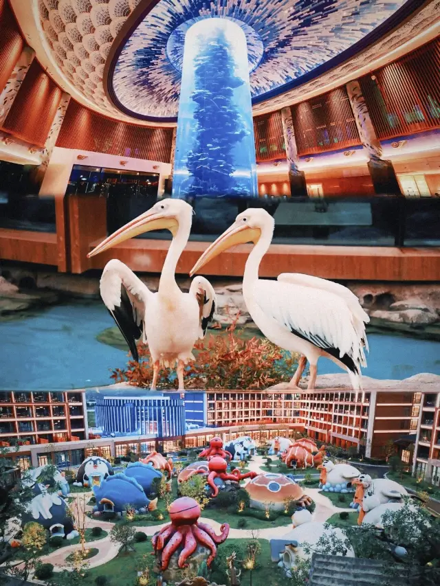 定了6月12日盛大啟幕不要錯過哦