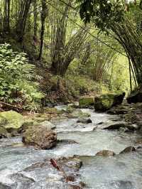 巴厘島蘇麗酒店的Arcadia叢林梯田徒步野餐之旅好讚！