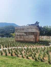 一看就很貴的寶藏遊玩地 | 廣州從化天人山水