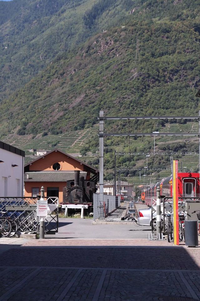 《瑞士全景之旅：伯爾尼快車的魅力之旅》